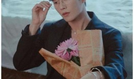 爆料娱乐圈李汶翰,揭秘明星背后的故事与争议